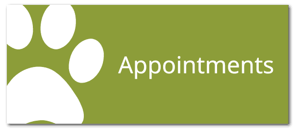 Animal Hospital Appointments